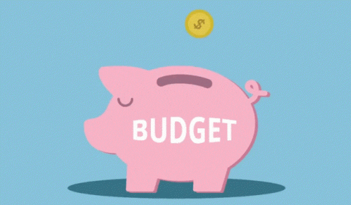 a pink piggy bank with the word budget on it and coins falling from above filling it up